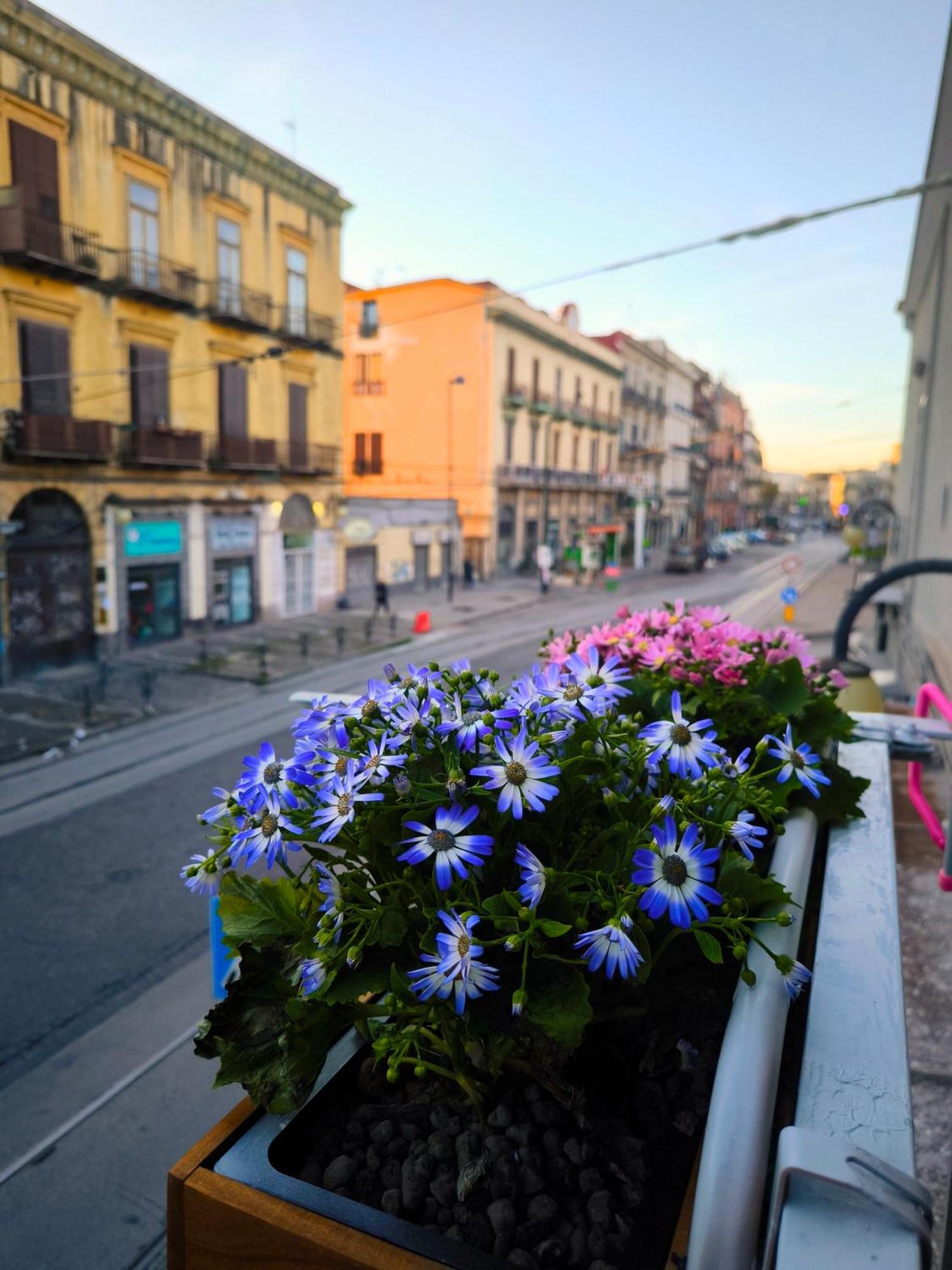 Casamira B&B Napoli Centrale Экстерьер фото